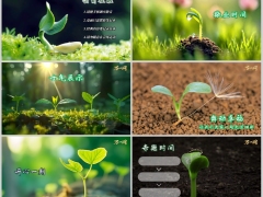 2026春天早会流程新芽萌发PPT模板10页.pptx 