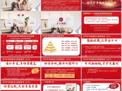 新华珍守护卓越版定期寿险产品解析业管规则销售模型案例39页.pptx 