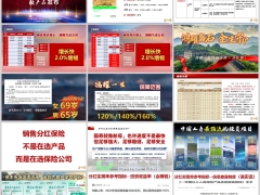 国寿鑫瑞一生鸿耀一生鑫瑞金生鸿耀金生产品介绍沟通要点34页.pptx 