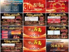 中国人寿鑫鸿福十年期产品亮点专属权益上市宣导29页.pptx 