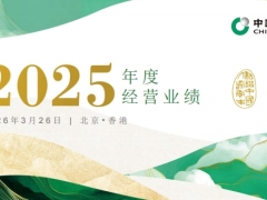 中国人寿保险股份有限公司2025年度业绩33页.pdf 