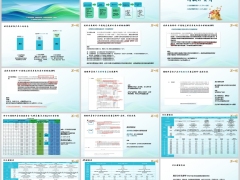 2026保险中介各家公司储蓄类增额寿年金产品简介46页.pptx 