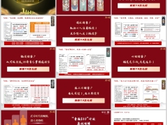 泰康泰盈人生2026优享版5大优势幸福300计划案例讲解23页.pptx 