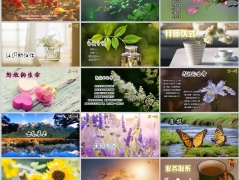 欢迎新伙伴迎新拜师早会流程模板16页.pptx 