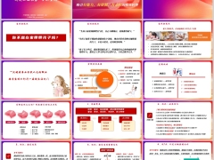 九大特定增员画像全职宝妈从业者现状痛点分析逻辑话术24页.pptx 