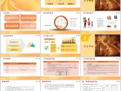 民生鎏金世家终身寿险分红型产品特色介绍案例演示25页.pptx 