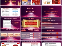 泰康泰盈人生鑫享世家2026优享版产品投资收益项目介绍26页.pptx 