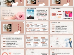 财富资配多重角度看婚姻客户划分标准婚财诉求客户分析23页.pptx 