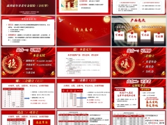 国寿鑫鸿延年分红型产品基本形态三大亮点案例演示20页.pptx 