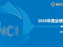 新华保险2025年年度业绩推介材料25页.pdf 