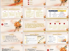 新华财富金钻庆典版背景定位特色案例演示服务权益27页.pptx 