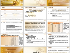 阳光稳利宝年金保险分红型产品优势概述案例演示解析17页.pptx 