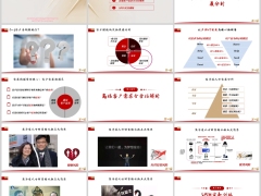 银保高端客户常见拒绝原因分析需求全方位解析SPIN实务训练23页.pptx 