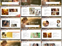 岁月不败美人时光不负母爱母亲节PPT模板24页.pptx 