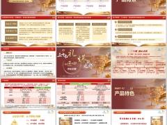 新华尊佑荣耀分红型产品背景特色信息案例演示服务41页.pptx 