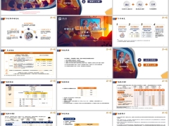 中英悦活人生年金保险C款互联网定位与特色规则示例16页.pptx 