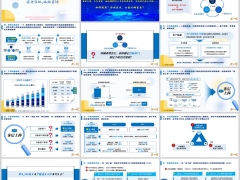 保险公司个险转型战略转型新理念新模式项目支撑经营策略25页.pptx 