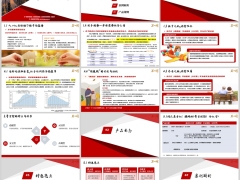瑞众东方红鲲鹏版分红型产品形态特色亮点案例解析22页.pptx 
