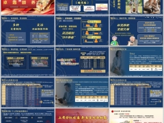 太平卓越颐养臻享版养老年金保险分红险四大特色案例演示23页.pptx 