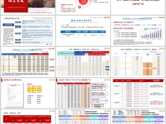 太平鸿瑞金生A款终身寿险分红型产品利益演示培训20页.pptx 