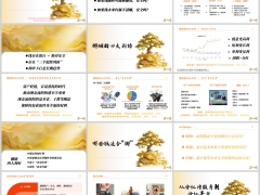 存量资金三个隐性风险挪储四大利好分红增额寿年金险场景逻辑25页.pptx 