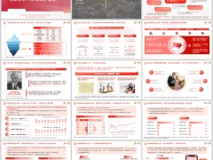 中信保诚重疾客户投保理赔整体情况洞察需求服务亮点报告23页.pptx 