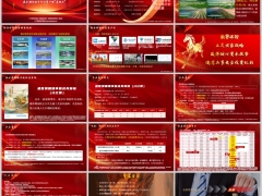 新华投资收益盛世荣耀臻享版分红型产品基本信息利益演示16页.pptx