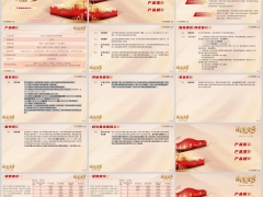 阳光国金壹号终身寿险产品形态特色规则案例基础知识解析21页.pptx 