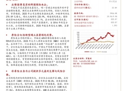 中国太平估值低位的跨国保险央企20页.pdf 