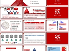 金税四期高净值人群需求分析保险信托税务合规资产保全核心价值18页.pptx 