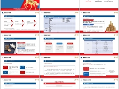 家庭资产测算养老金需求测算缺口解决方案操作步骤解析38页.pptx 
