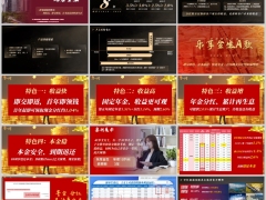 太平乐享金生A款年产品基础要素保险责任特色案例展示17页.pptx 