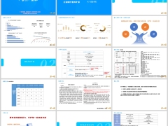 和泰擎天柱12号泰然一生版产品背景形态总览介绍竞品对比分析20页.pptx 