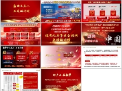 新华盛世荣耀臻享版终身寿险分红型产品介绍投保案例11页.pptx 