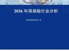 2026年再保险行业分析6页.pdf 