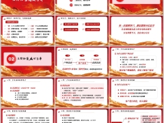 保险绩优分享把握终身寿险黄金机遇三阶经营高效签单21页.pptx 