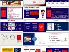 新时代民法典背景下家庭财富传承资产保全案例解析19页.pptx 