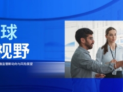 全球视野金融监管新动向与风险展望10页.pdf 