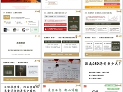 2026决战630现状剖析风险预警长城八达岭南山旗舰A款亮点25页.pptx