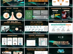 泰康龙腾绿通庆典版四大核心优势三好两通宣导篇49页.pptx 
