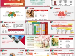 中荷禧悦人生分红型金生有约臻爱版产品基本信息案例简介16页.pptx 