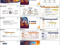 中英悦活人生D款产品特色定位责任投保保全规则案例演示14页.pptx 