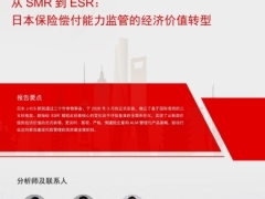 保险行业从SMR到ESR日本保险偿付能力监管的经济价值转型10页.pdf 
