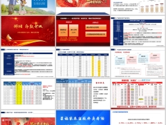 复星保德信公司星颐星福家朱雀版分红险规则及优势解析30页.pptx 