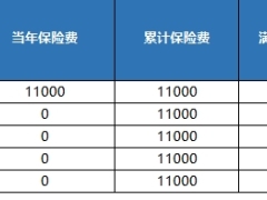 新华宏益鑫两全保险分红型累积生息交清增额利益演示表.xlsx 