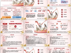 新华宏益鑫分红型产品理念定位特色介绍案例演示规则25页.pptx 