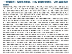 保险行业研究一季报综述投资拖累利润NBV延续较好增长COR表现优异12页.pdf 