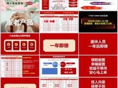 长城八达岭南山旗舰A款分红型基础知识投保规则投保案例24页.pptx 