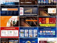 2026泰康公司介绍养老社区投资优势长寿财富健康解决方案16页.pptx 