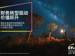 保险业首席财务官构建未来财务运营模式必须应对的六大核心矛盾20页.pdf 